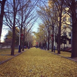 Meet your Posher, Ziming